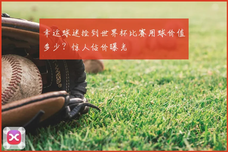 幸运球迷捡到世界杯比赛用球价值多少？惊人估价曝光