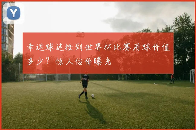 幸运球迷捡到世界杯比赛用球价值多少？惊人估价曝光