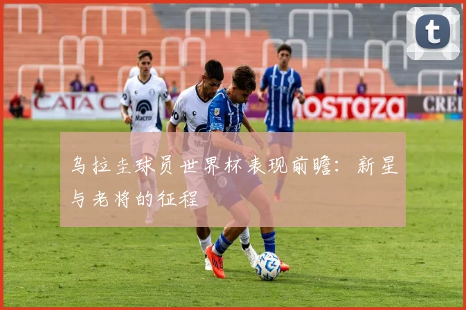 乌拉圭球员世界杯表现前瞻：新星与老将的征程