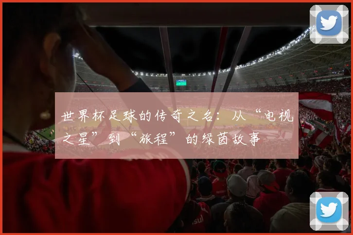 世界杯足球的传奇之名：从“电视之星”到“旅程”的绿茵故事