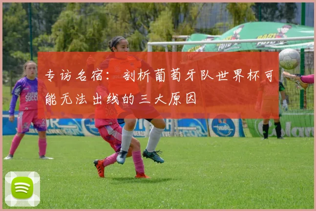 专访名宿：剖析葡萄牙队世界杯可能无法出线的三大原因