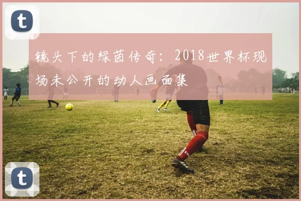 镜头下的绿茵传奇：2018世界杯现场未公开的动人画面集